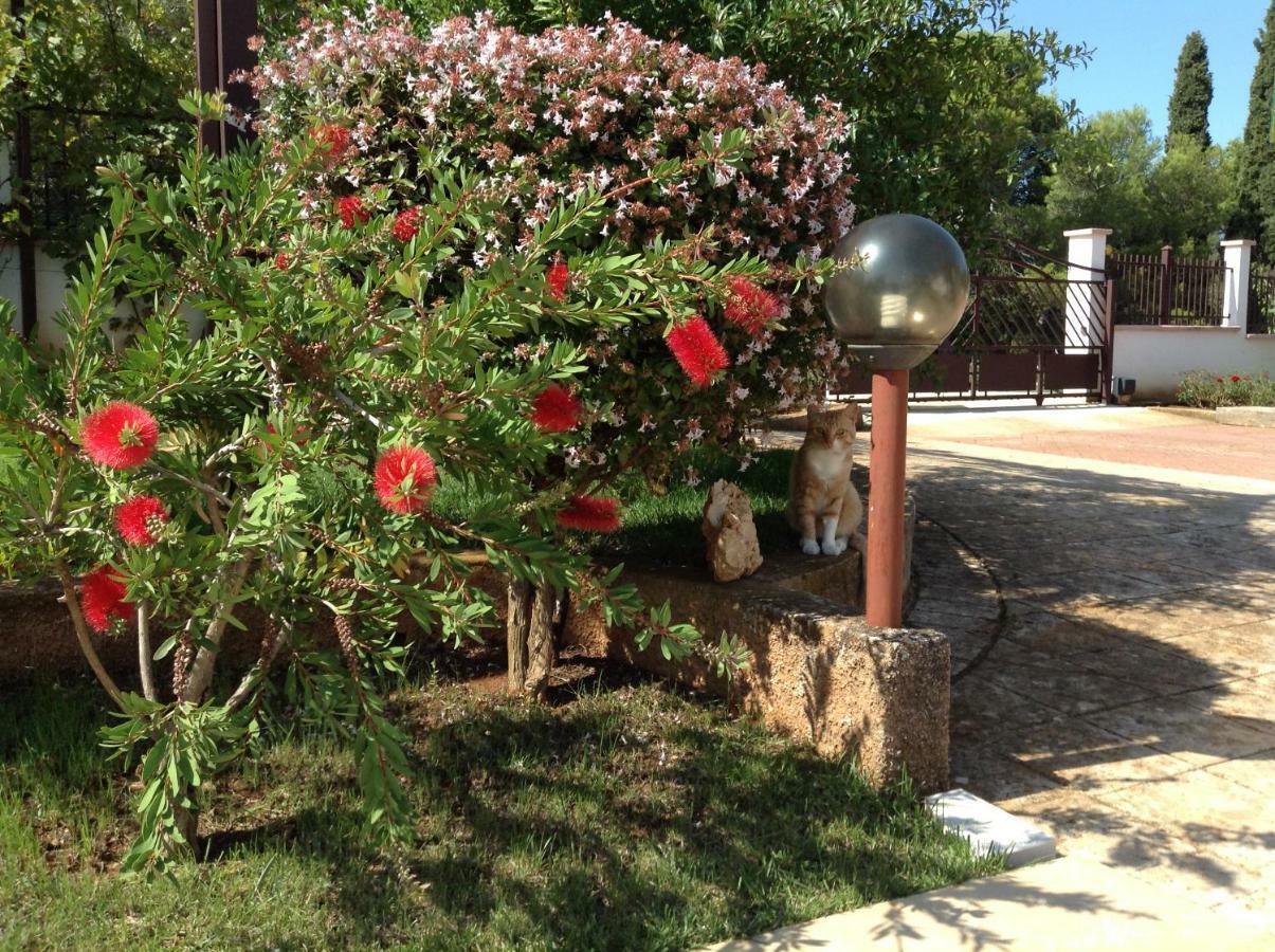 Apartman Casa Isabella